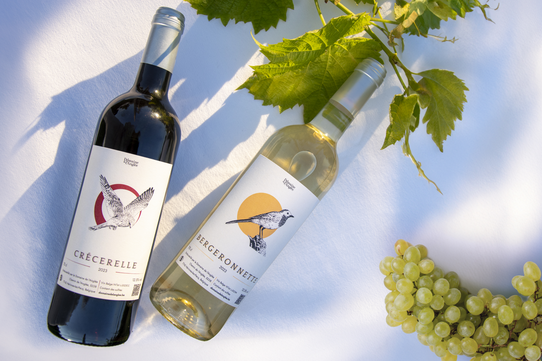 Étiquette de vin domaine de l'Anglée - Graphiste Belge Pour Indépendants