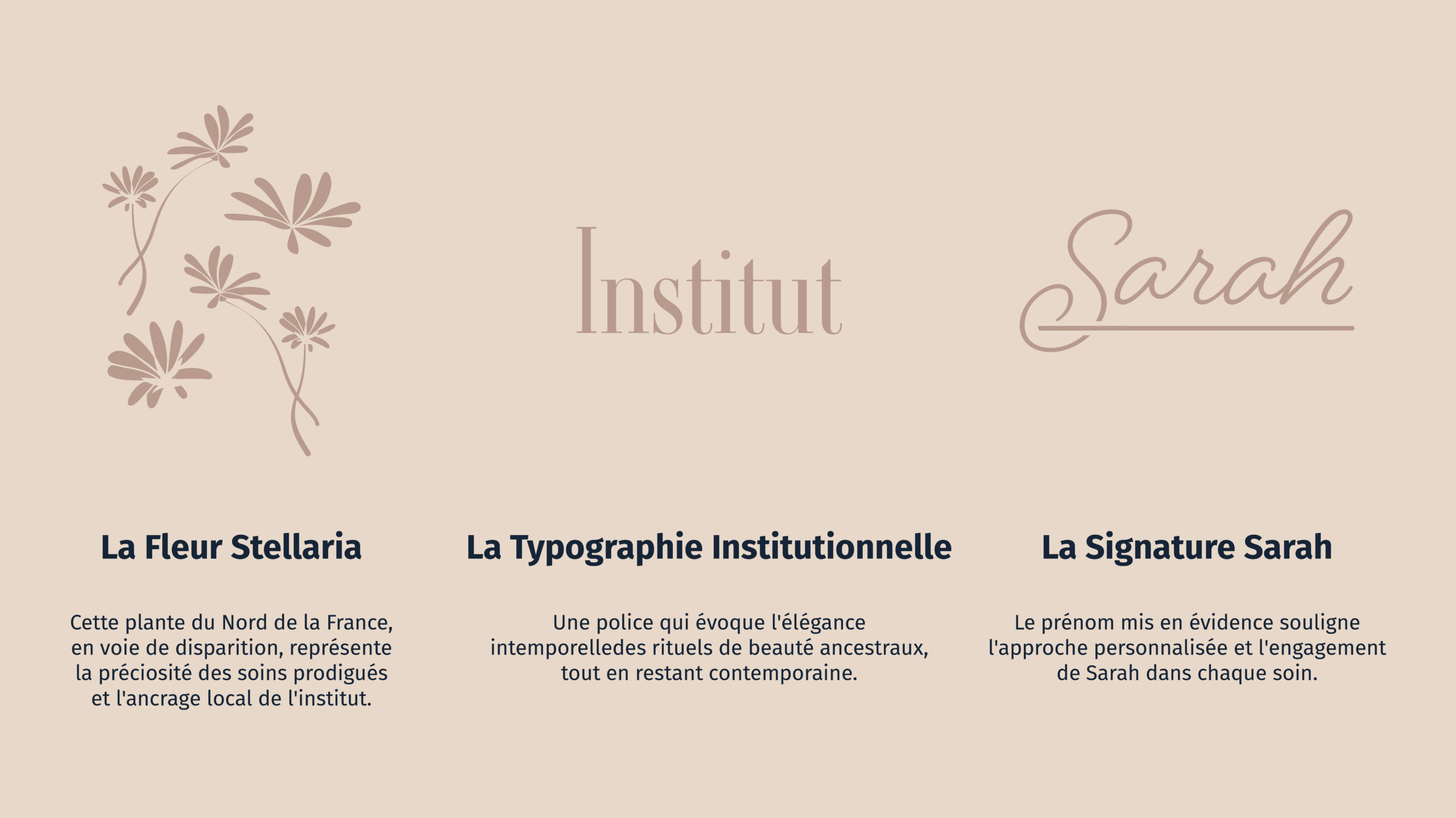 Explication du logo de l'Institut de Sarah - Graphiste Belge Pour Indépendants
